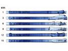 2-D in a Day: A Two-Dimensional Gel Electrophoresis Work Flow Completed in Under Five Hours