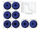 Characterization of a Cell Invasion Assay for High-Content Screening Using a Laser Microplate Cytometer
