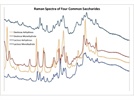 Use of a Nondestructive, Raman Spectroscopy Technique for Differentiating Sweeteners