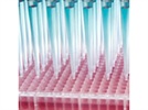 Are Blood Alcohols Reliable?