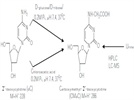 Modification of DNA in Relation to Diabetes: Identification of CMdC From Glycoxidation Reactions and Estimation of CMdC and CMdA in Fasting Human Urine