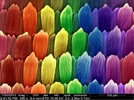 Answer to What is This on the Cover of American Laboratory March