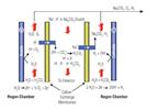 Reagent-Free Ion Chromatography Systems With Eluent Regeneration: RFIC-ER Systems