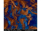 Answer to What is This on the Cover of American Laboratory April