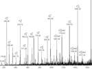 A Method to Separate and Characterize Modified Forms of Histones Using HILIC and Electron Transfer Dissociation-Mass Spectrometry