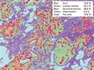 Putting the “More” in Morphology: Part 1