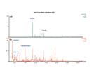 Multistep Thermal Characterization of Polymers Using GC-MS