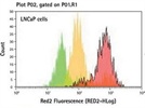 Detection of siRNA-Mediated Gene Modulation Using RNA Detection Probes