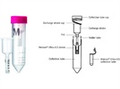 Fast, Efficient Antibody Biotinylation for Cleaner Immunodetection Assays