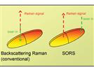 A Noninvasive Method for Deep Raman Spectroscopy of Living Tissue and Powders