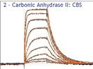 An Automated Surface Plasmon Resonance-Based System
