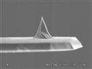 Localized Thermal Analysis: From the Micro- to the Nanoscale