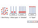 A Weak Anion-Exchange/Reversed-Phase Mixed-Mode HPLC Column and its Applications