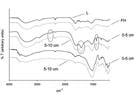 Mid-Infrared Spectroscopy for Determinations of Carbonate in Soils—What is Important?