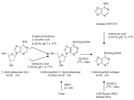 Modifications of DNA in Relation to Diabetes: Identification of Carboxymethyl-2’-Deoxyadenosine From Glycoxidation Reactions, Calf Thymus DNA, Human Urine, and DNA