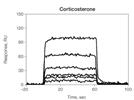 Evaluating Candidate Lead Compounds by Rapid Analysis of Drug Interactions with Human Serum Albumin