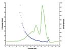 Absolute Size Exclusion Chromatography