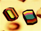 Dynamic Light Scattering For the Noninvasive Detection of Protein Aggregation