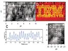 Celebrating 25 Years of Scanning Probe Microscopy and the Work of Kumar Wickramasinghe