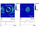 Dielectrophoretic Force Microscopy