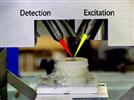Three-Dimensional Elemental Imaging Using a Confocal X-Ray Fluorescence Microscope