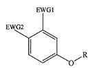 Development of an LC-ESI-MS-MS Method With Formate Anion Attachment for Detecting Neutral Molecules in Rat Plasma