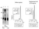 Improved Column Chromatography Performance Using Arginine