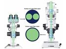 A Zoom Fluorescence Research Microscope for Macro- to Microfluorescence Imaging