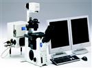 Use of New Scanning Technology to Elucidate Ion Channel Mobility