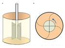 Small-Scale Vane Rheometry