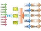 Whole Genome Amplification: Extending Beyond the Limitations of Traditional PCR