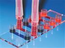Cell Culture Biochips for Optical Microscopy