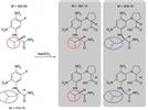 Rapid Enantiomeric Excess Determination of D- and L-Proline Using Electrospray Ionization–Mass Spectrometry