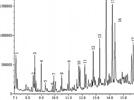 Identification of Volatile and Semivolatile Organic Compounds in Salt Lake Brine