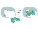 Efficient Extraction of Toxic Compounds From Complex Matrices Using Molecularly Imprinted Polymers