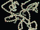 Using MALS-UV-RI Detection for Accurate Characterization of PEGylated Proteins