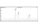 The Power of Pulsed Amperometric Detection Coupled With Chromatography for Analyzing Carbohydrates