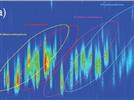 Using Classifications With Mass Spectral Filters to Enhance Results Obtained From GC×GC-TOFMS Analysis