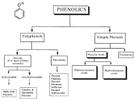 Influence of Sample Preparation on the Assay of Phytochemicals
