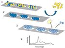 Evaluation of Surface-Enhanced Laser Desorption Time-of-Flight Mass Spectroscopy in the Development of Biomarkers of Occupational Acrylamide Exposure