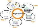 Mold-Specific Quantitative PCR: The Emerging Standard in Mold Analysis