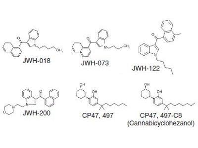Fast and Effective LC/MS/MS Analysis of Synthetic Cannabinoids