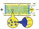 Pressurized Capillary Electrochromatography: Instrumentation, Columns, and Applications