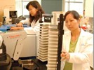 Integrating Informatics and High-Content Screening to Find a Cure for Spinal Cord Injury: Selecting a LIMS for CNS Regeneration