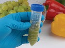 QuEChERS Dispersive SPE for Multiresidue Pesticide Analysis