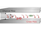 Virus-Like Particle Characterization Using AF4 Channel Technology