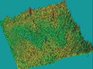 Characterization of the Daguerreotype Using the Surface Metrology Instrumental Technique of Confocal Scanning Disk Microscopy