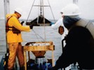 Sediment Standard Reference Materials