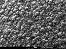 Characterizing Nanometer-Scale Materials Using a Low-Angle Backscattered Electron Detector