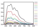 Real-Time Detection of Central Nervous System Tissues on Bovine Carcasses Using Fluorescence Spectroscopy